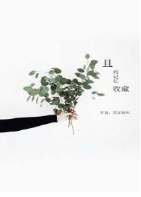 《且将记忆收藏》封面