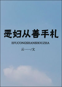 《恶妇从善手札》封面