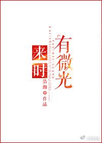 《来时有微光》封面