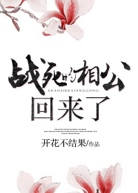 《战死的相公回来了》封面