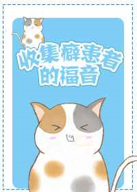 《收集癖患者的福音》封面