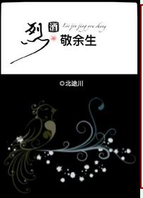 《烈酒敬余生》封面