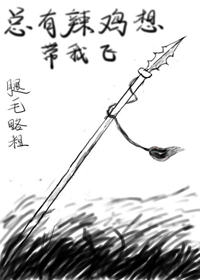 《总有辣鸡想带我飞》封面