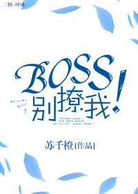《Boss别撩我！》封面
