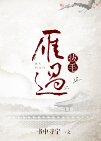 《雁过拔毛》封面