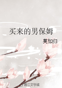 《买来的男保姆》封面