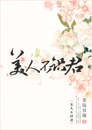 《美人不识君》封面