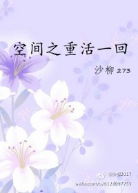 《空间之重活一回》封面