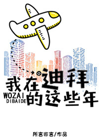 《我在迪拜的这些年》封面