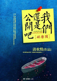 《我们还是公开吧[娱乐圈]》封面