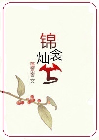 《锦衾灿兮》封面