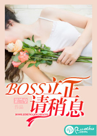 《BOSS立正请稍息》封面