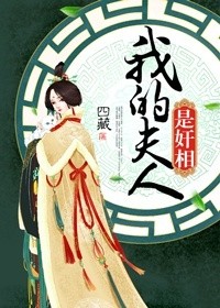 《我的夫人是奸相》封面