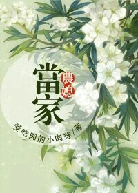 《农媳当家》封面