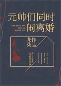 《元帅们同时闹离婚》封面