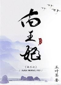 《南王妃》封面