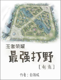 《王者荣耀最强打野[电竞]》封面