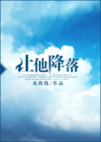 《让他降落》封面