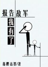 《报告敌军我有了！》封面