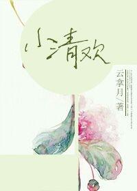 《小清欢》封面