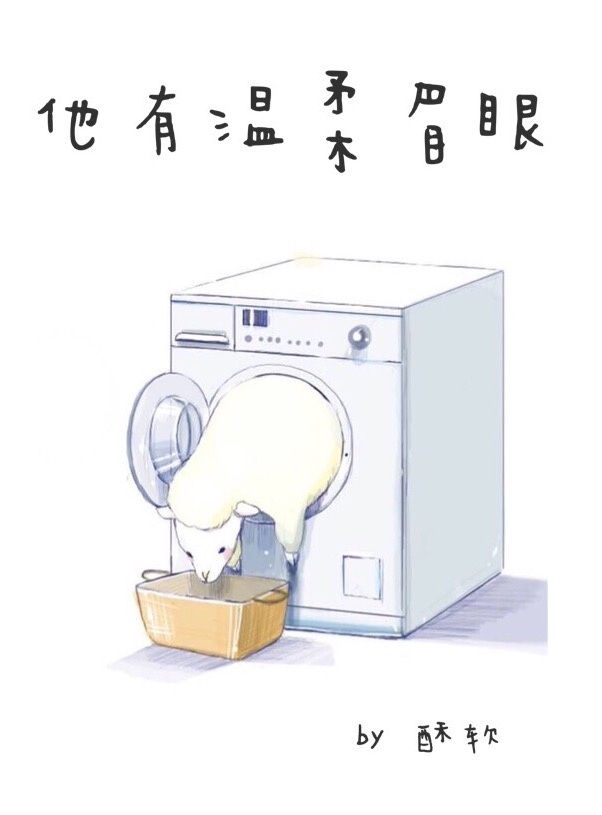《他有温柔眉眼》封面