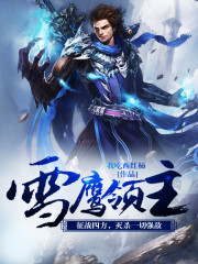 《雪鹰领主》封面