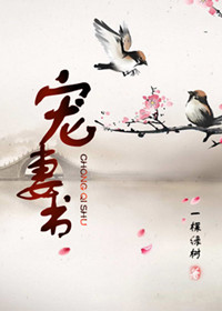 《宠妻书》封面