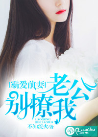 《霸爱前妻：老公别撩我》封面