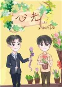 《心光》封面