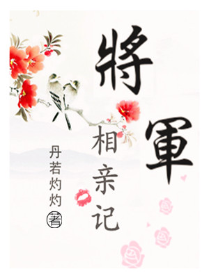 《将军相亲记》封面
