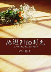 《他迟到的时光》封面