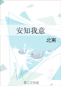 《安知我意》封面