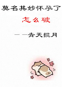 《莫名其妙怀孕了怎么破》封面