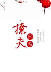 《撩夫日常》封面