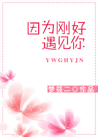《因为刚好遇见你》封面