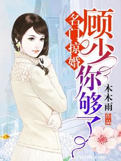 《名门掠婚：顾少，你够了》封面