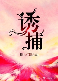 《诱捕》封面