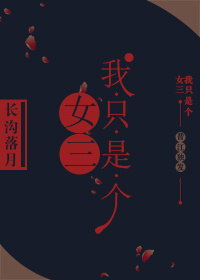 《我只是个女三》封面