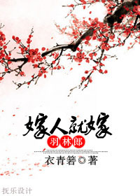 《嫁人就嫁羽林郎》封面