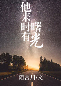 《他来时有曙光》封面