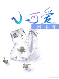 《小可爱》封面