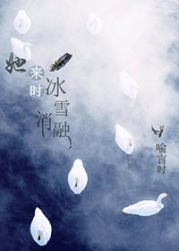 《她来时冰雪消融》封面