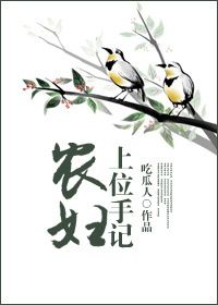 《农妇上位手记》封面