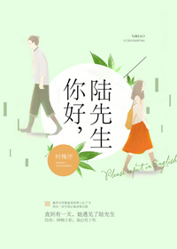《你好，陆先生[娱乐圈]》封面