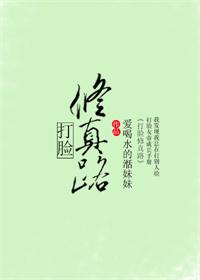 《打脸修真路》封面
