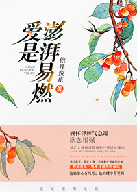 《爱是澎湃易燃》封面