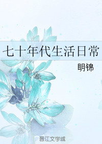 《七十年代生活日常》封面