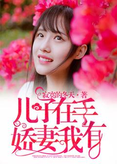 《儿子在手，娇妻我有》封面