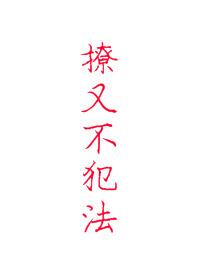 《撩又不犯法》封面