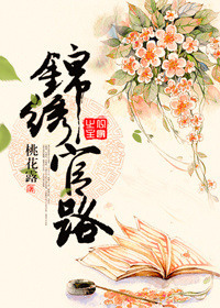 《锦绣官路》封面